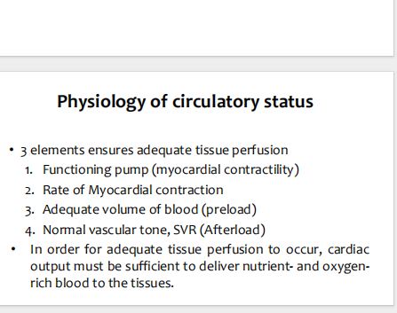 No preview available